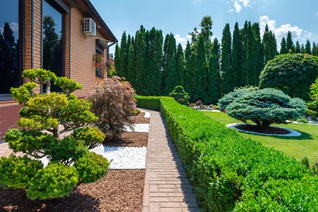 Aménager un jardin pour embellir votre maison et ses extérieurs