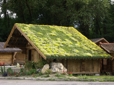 Toiture végétalisée