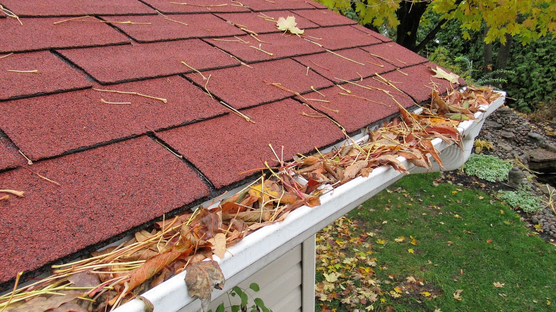 Feuilles qui obstruent une gouttière