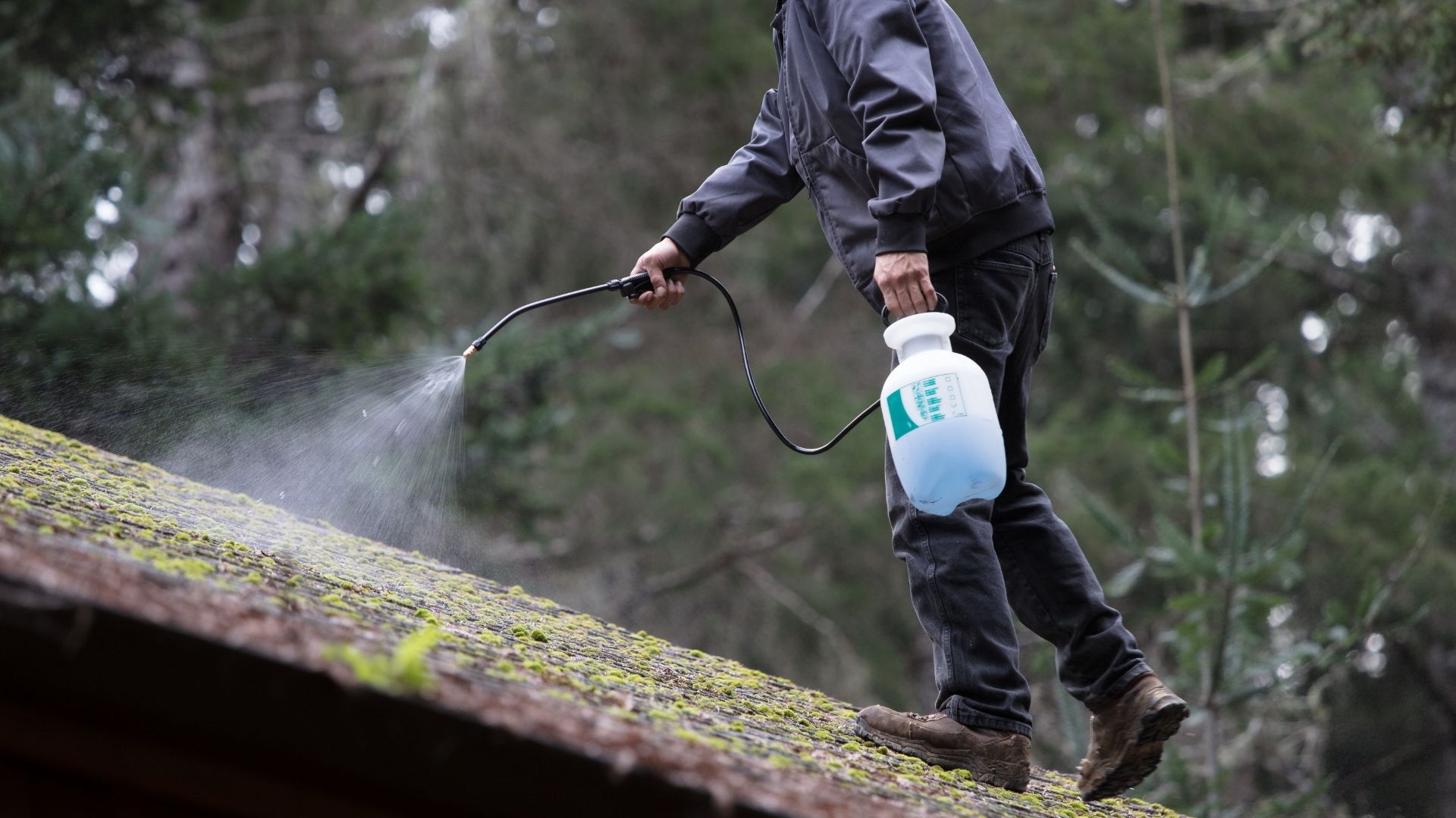 Anti-mousse toiture : combien de temps faut-il prévoir avant la pluie ?