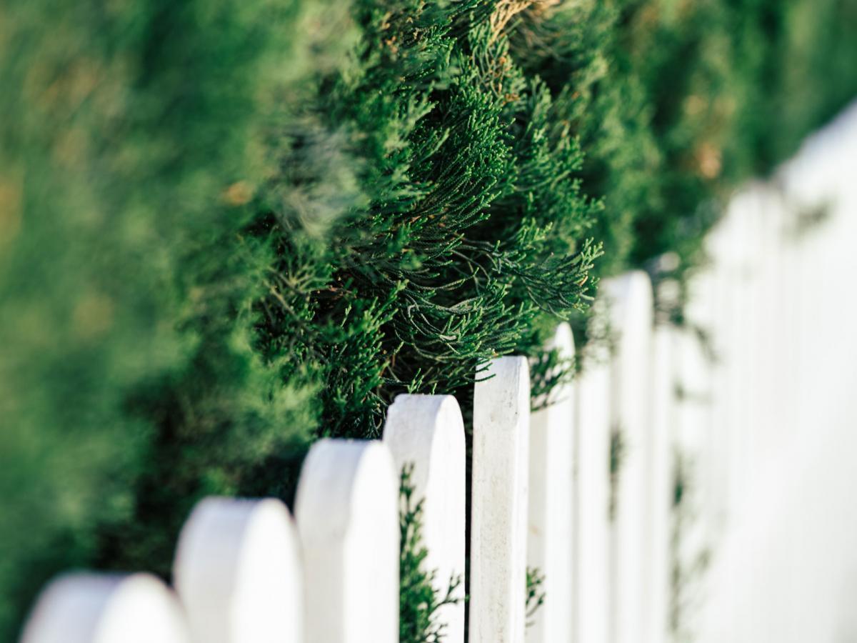 Quel type de clôture installer dans son jardin ?