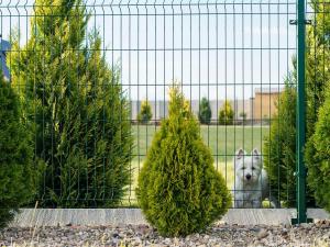 Clôtures en aluminium : durabilité et élégance pour votre jardin