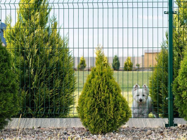 Clôtures en aluminium : durabilité et élégance pour votre jardin