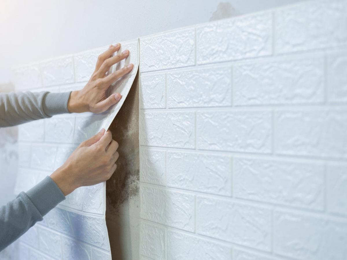Idées déco pour sublimer vos murs après une rénovation