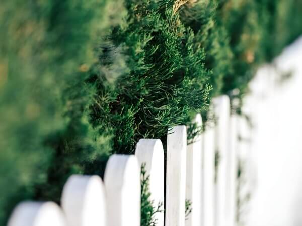 Quel type de clôture installer dans son jardin ?