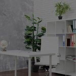 Rénovation local professionel